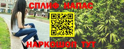 прущие грибы Усть-Илимск