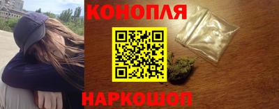 прущие грибы Усть-Илимск