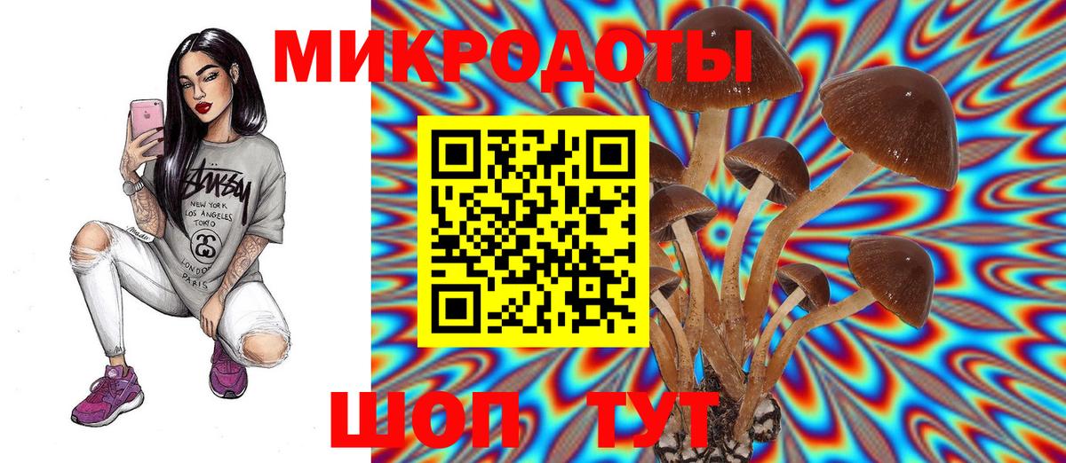 Галлюциногенные грибы MAGIC MUSHROOMS Зима